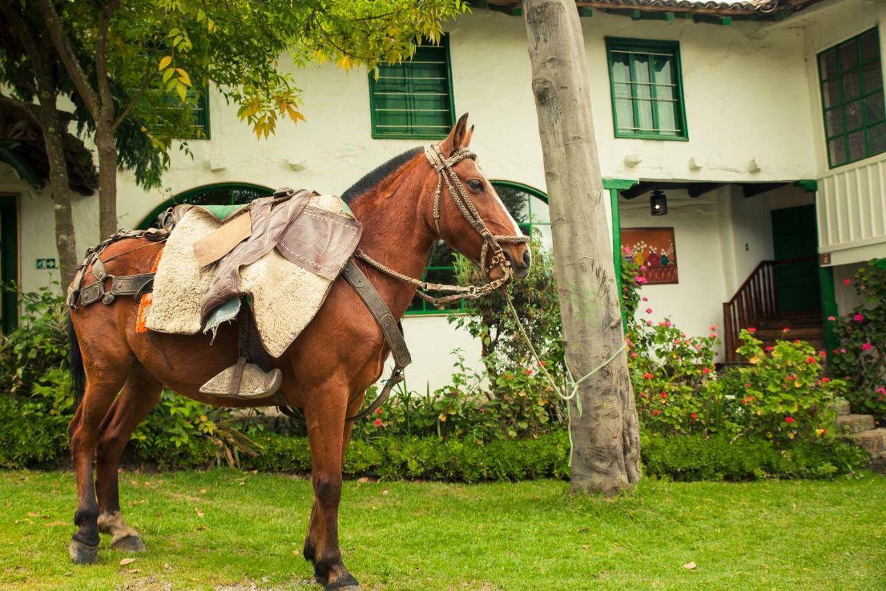 Posada Ingapirca ภายนอก รูปภาพ